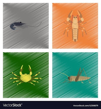 Assembly flat shading style shrimp vector image