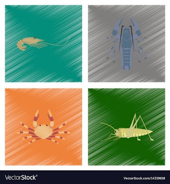 Assembly flat shading style shrimp vector image