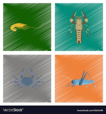 Assembly flat shading style shrimp vector image