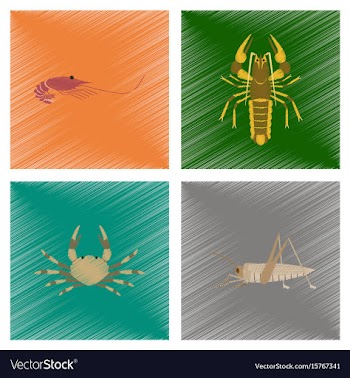 Assembly flat shading style shrimp vector image