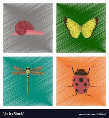 Assembly flat shading style snail vector image