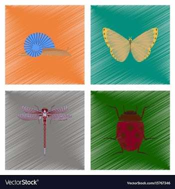 Assembly flat shading style snail vector image