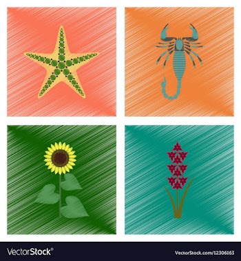 Assembly flat shading style starfish vector image