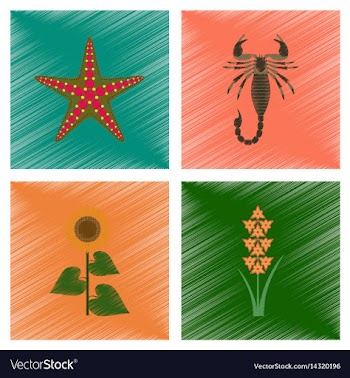Assembly flat shading style starfish vector image