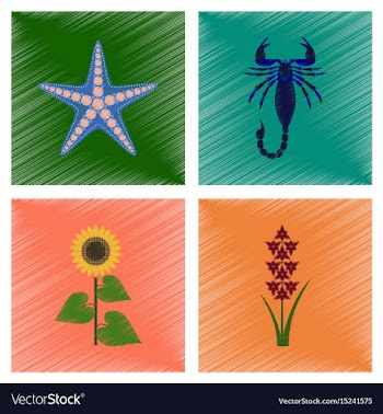 Assembly flat shading style starfish vector image