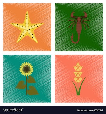 Assembly flat shading style starfish vector image