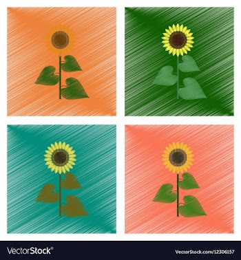 Assembly flat shading style sunflower vector image