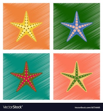 Assembly flat shading style tropical starfish vector image