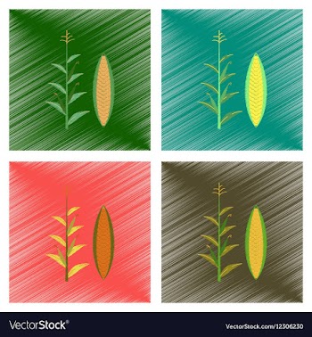 Assembly flat shading style zea mays vector image