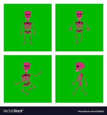 Assembly flat skeleton Halloween vector image