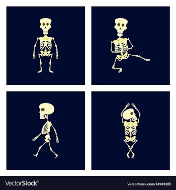 Assembly flat skeleton halloween vector image