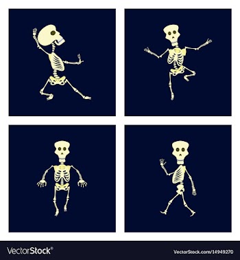 Assembly flat skeleton halloween vector image