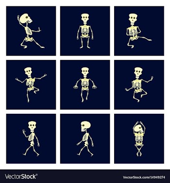 Assembly flat skeleton halloween vector image