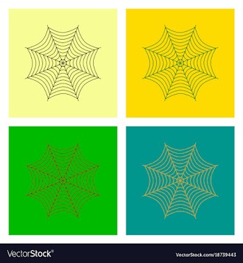 Assembly flat spider web vector image