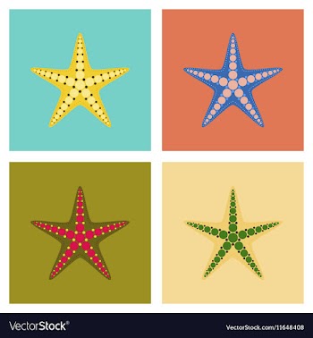 Assembly flat tropical starfish vector image