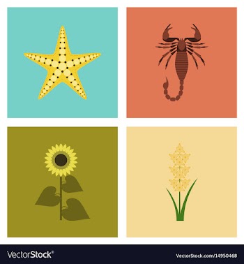 Assembly flat tropical starfish vector image