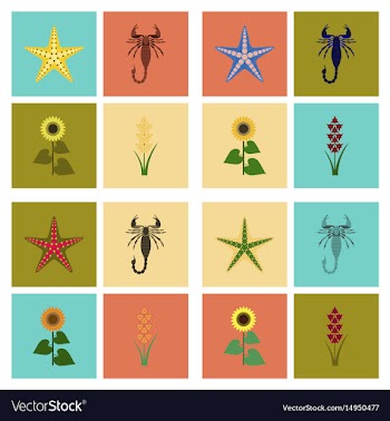 Assembly flat tropical starfish vector image