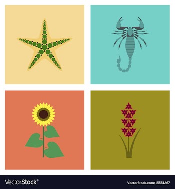 Assembly flat tropical starfish vector image