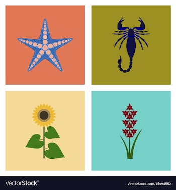 Assembly flat tropical starfish vector image