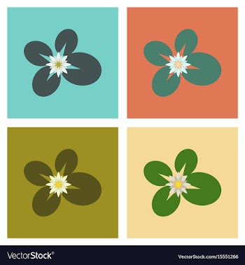 Assembly flat water lily vector image