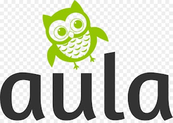 Assembly hall Owl School Logo Design - owl 