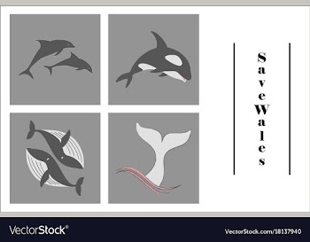 Assembly of flat icons on theme save whales vector image