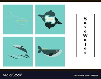 Assembly of flat icons on theme save whales vector image