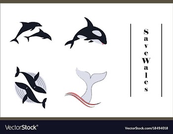Assembly of flat icons on theme save whales vector image