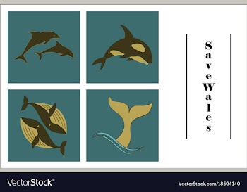 Assembly of flat icons on theme save whales vector image