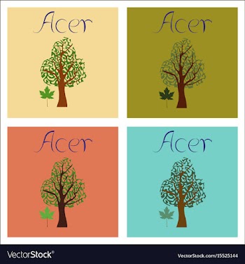 Assembly of flat plant acer vector image