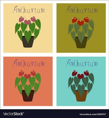 Assembly of flat plant anthurium vector image