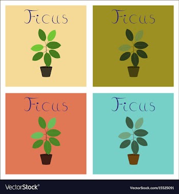 Assembly of flat plant ficus vector image