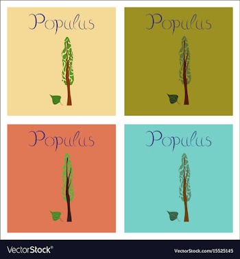Assembly of flat plant populus vector image