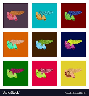 Assembly of flat shading style icon duodenum and vector image