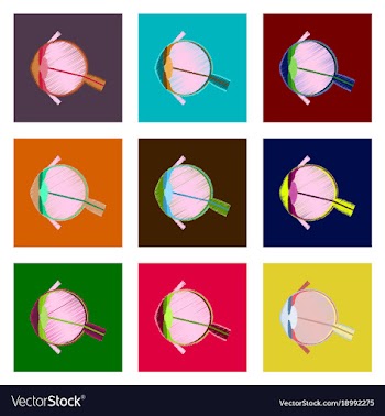 Assembly of flat shading style icon eye vector image