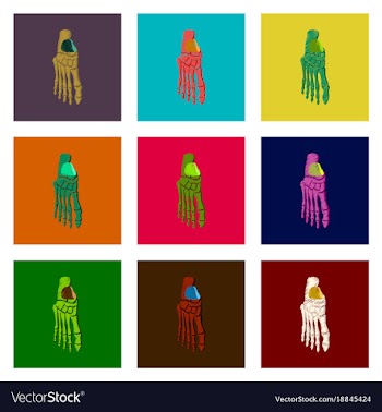 Assembly of flat shading style icon foot skeleton vector image