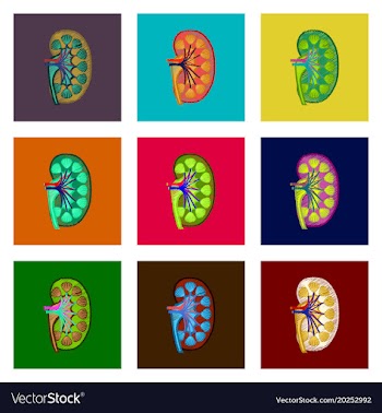 Assembly of flat shading style icon kidney vector image