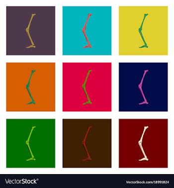 Assembly of flat shading style icon leg bone vector image