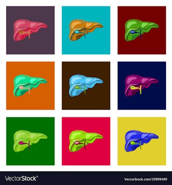 Assembly of flat shading style icon liver vector image