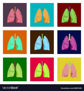 Assembly of flat shading style icon lungs and vector image