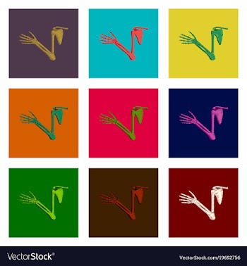 Assembly of flat shading style icon shoulder joint vector image