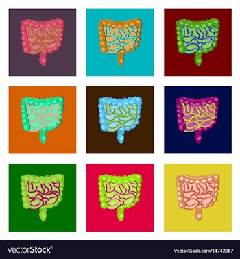 Assembly of flat shading style icon vector image