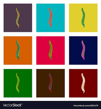 Assembly of flat shading style icon vertebral vector image