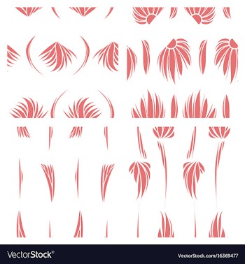 Assembly of patterns in bright style vector image