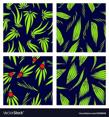 Assembly of patterns in flower style vector image