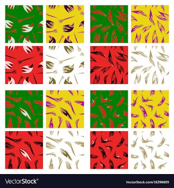 Assembly of patterns in striped style vector image