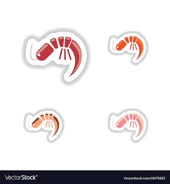 Assembly of stickers on a white seafood shrimp vector image