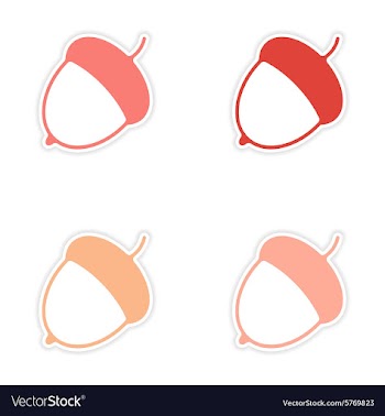 Assembly realistic sticker design on paper acorn vector image