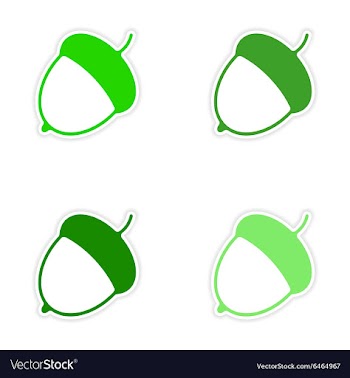 Assembly realistic sticker design on paper acorn vector image