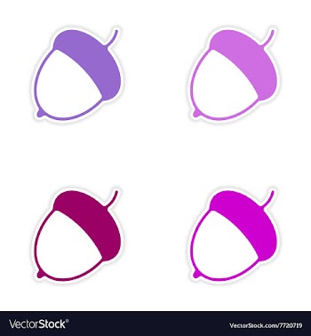 Assembly realistic sticker design on paper acorn vector image